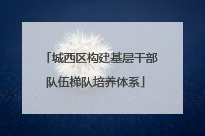 城西区构建基层干部队伍梯队培养体系