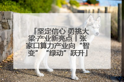坚定信心 勇挑大梁·产业新亮点丨张家口算力产业向“智变”“绿动”跃升