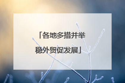 各地多措并举稳外贸促发展
