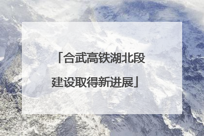 合武高铁湖北段建设取得新进展