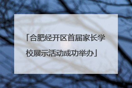 合肥经开区首届家长学校展示活动成功举办