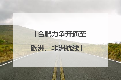 合肥力争开通至欧洲、非洲航线