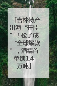 吉林特产出海“开挂”！松子成“全球爆款”，酒精首单锁1.4万吨