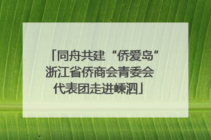 同舟共建“侨爱岛” 浙江省侨商会青委会代表团走进嵊泗