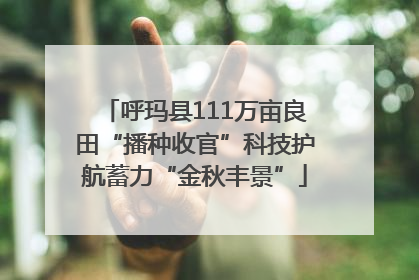 呼玛县111万亩良田“播种收官”科技护航蓄力“金秋丰景”