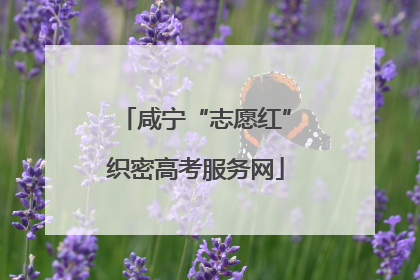咸宁“志愿红”织密高考服务网