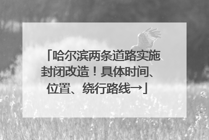 哈尔滨两条道路实施封闭改造！具体时间、位置、绕行路线→