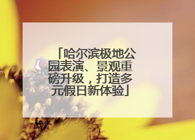 哈尔滨极地公园表演、景观重磅升级，打造多元假日新体验