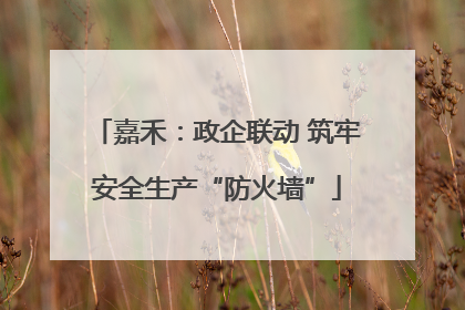 嘉禾：政企联动 筑牢安全生产“防火墙”