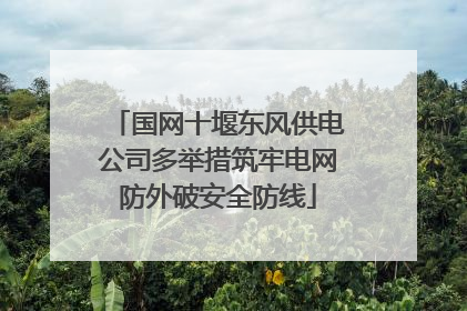 国网十堰东风供电公司多举措筑牢电网防外破安全防线