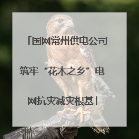 国网常州供电公司筑牢“花木之乡”电网抗灾减灾根基