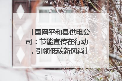 国网平和县供电公司：节能宣传在行动，引领低碳新风尚