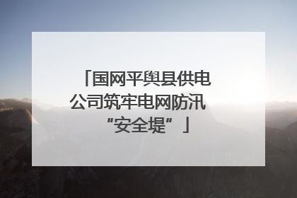 国网平舆县供电公司筑牢电网防汛“安全堤”
