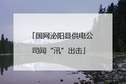 国网泌阳县供电公司闻“汛”出击