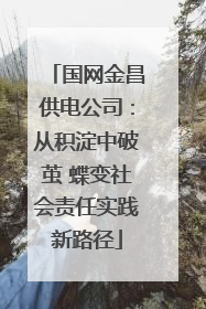 国网金昌供电公司：从积淀中破茧 蝶变社会责任实践新路径