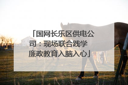 国网长乐区供电公司：现场联合践学 廉政教育入脑入心