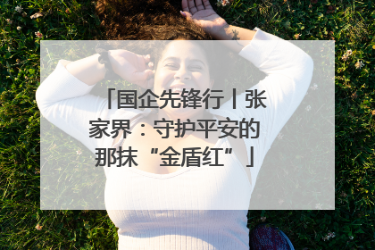 国企先锋行丨张家界：守护平安的那抹“金盾红”