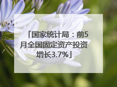国家统计局：前5月全国固定资产投资增长3.7%