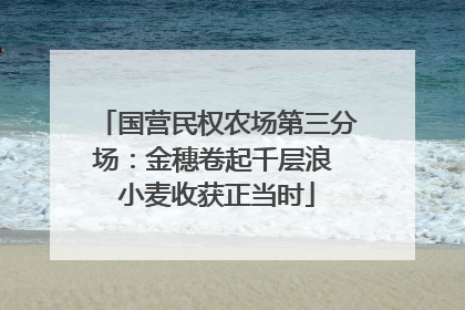 国营民权农场第三分场：金穗卷起千层浪 小麦收获正当时