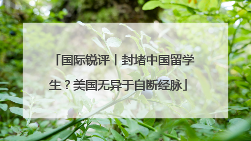 国际锐评丨封堵中国留学生？美国无异于自断经脉
