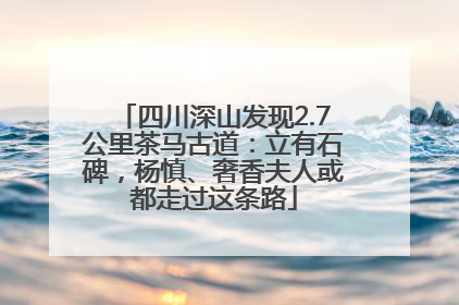 四川深山发现2.7公里茶马古道：立有石碑，杨慎、奢香夫人或都走过这条路