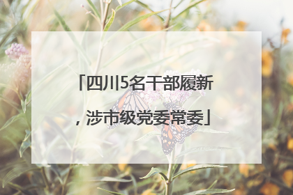四川5名干部履新，涉市级党委常委