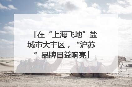 在“上海飞地”盐城市大丰区，“沪苏”品牌日益响亮