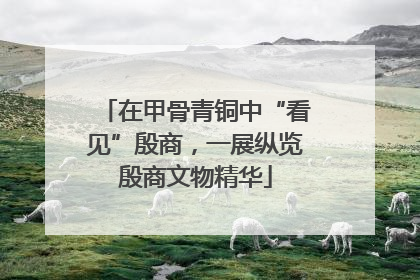 在甲骨青铜中“看见”殷商，一展纵览殷商文物精华
