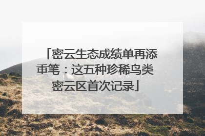密云生态成绩单再添重笔：这五种珍稀鸟类密云区首次记录