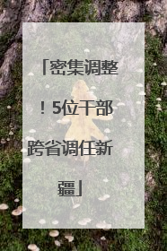 密集调整！5位干部跨省调任新疆