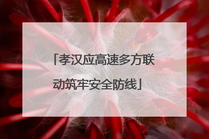 孝汉应高速多方联动筑牢安全防线
