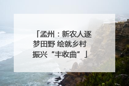 孟州：新农人逐梦田野 绘就乡村振兴“丰收曲”