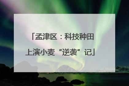 孟津区：科技种田 上演小麦“逆袭”记