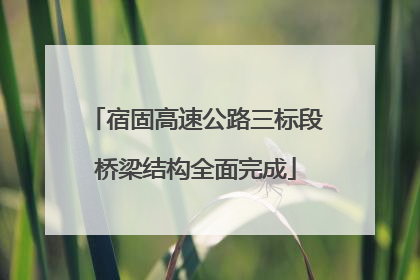 宿固高速公路三标段桥梁结构全面完成