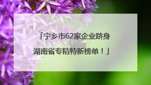 宁乡市62家企业跻身湖南省专精特新榜单！