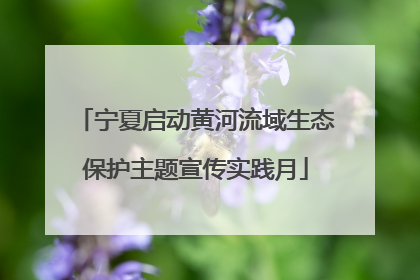 宁夏启动黄河流域生态保护主题宣传实践月