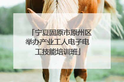 宁夏固原市原州区举办产业工人电子电工技能培训班