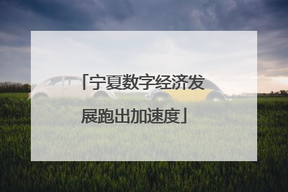 宁夏数字经济发展跑出加速度