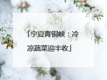 宁夏青铜峡：冷凉蔬菜迎丰收
