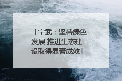 宁武：坚持绿色发展 推进生态建设取得显著成效
