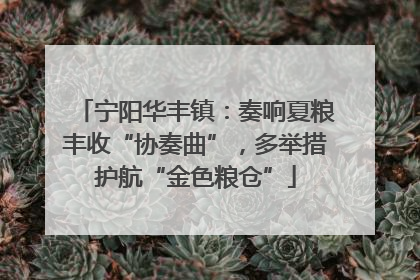 宁阳华丰镇：奏响夏粮丰收“协奏曲”，多举措护航“金色粮仓”