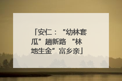 安仁：“幼林套瓜”趟新路 “林地生金”富乡亲