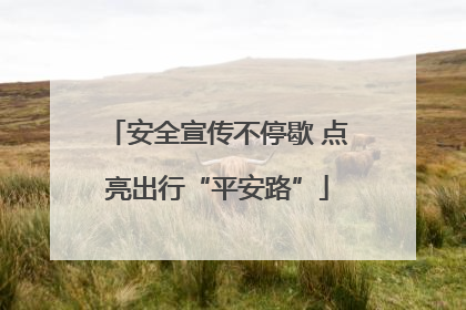 安全宣传不停歇 点亮出行“平安路”