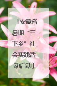 安徽省暑期“三下乡”社会实践活动启动