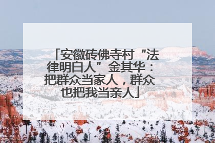 安徽砖佛寺村“法律明白人”金其华：把群众当家人，群众也把我当亲人