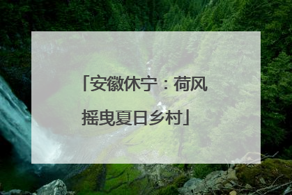 安徽休宁：荷风摇曳夏日乡村