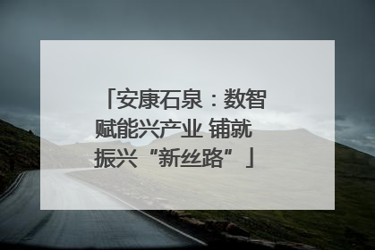 安康石泉：数智赋能兴产业 铺就振兴“新丝路”