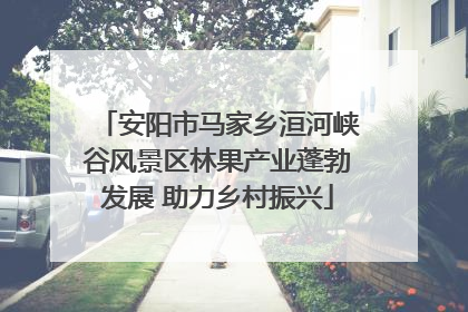 安阳市马家乡洹河峡谷风景区林果产业蓬勃发展 助力乡村振兴