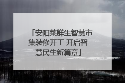 安阳菜鲜生智慧市集装修开工 开启智慧民生新篇章
