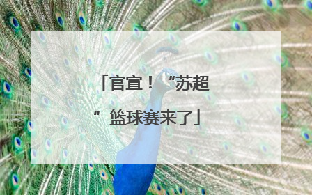官宣！“苏超”篮球赛来了